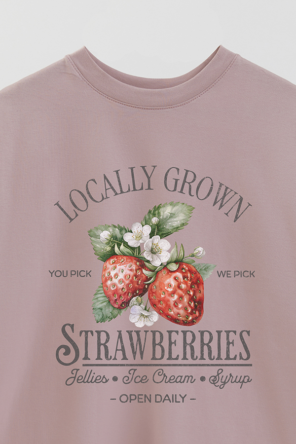 REMERA OVER ESTAMPADA HARVEST STRAWBERRIES