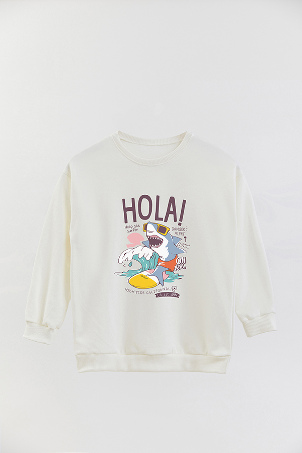 BUZO CREWNECK RUSTICO FUNNY ADVENTURES HOLA