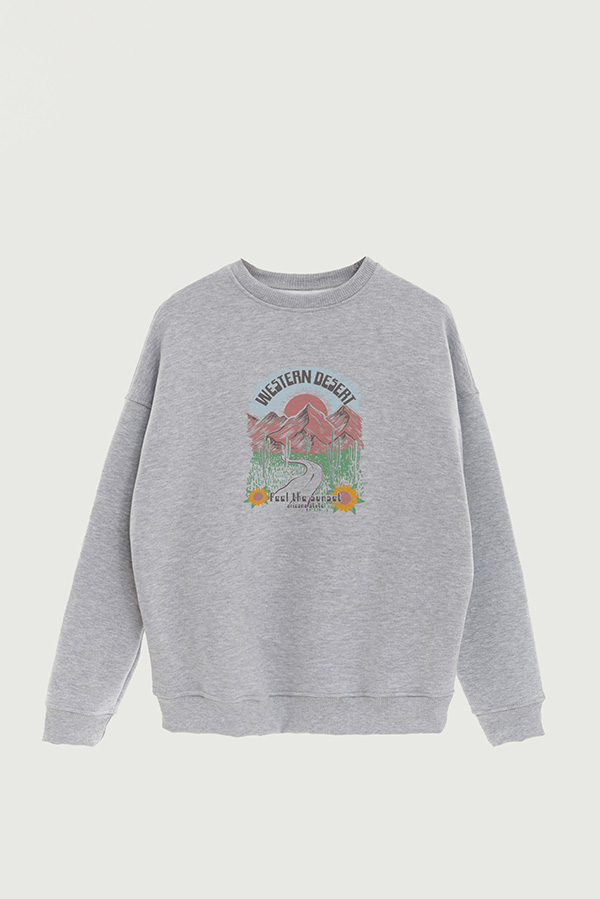 BUZO CREWNECK ESTAMPADO WESTERN FEEL