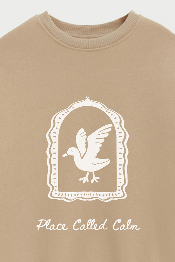 BUZO CREWNECK ESTAMPADO SKETCH PLACE