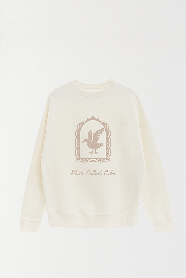 BUZO CREWNECK ESTAMPADO SKETCH PLACE