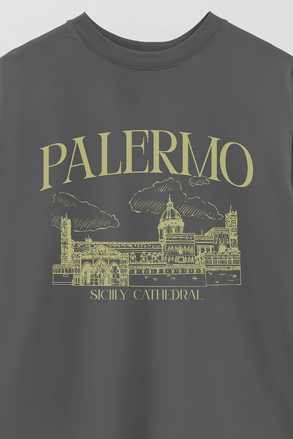 REMERA OVER ESTAMPADA PALERMO