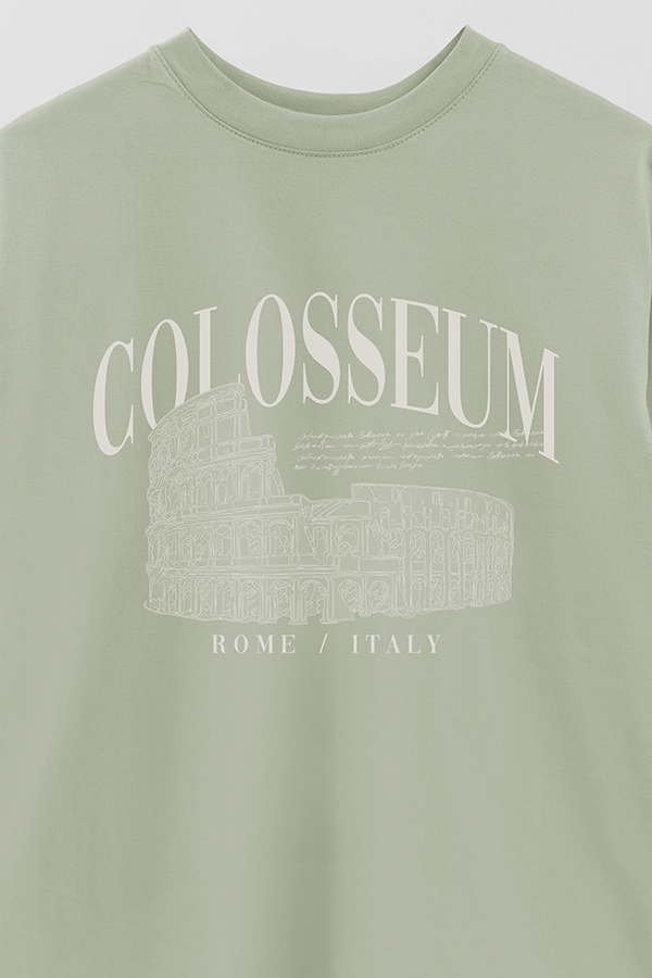 REMERA OVER ESTAMPADA COLOSSEUM