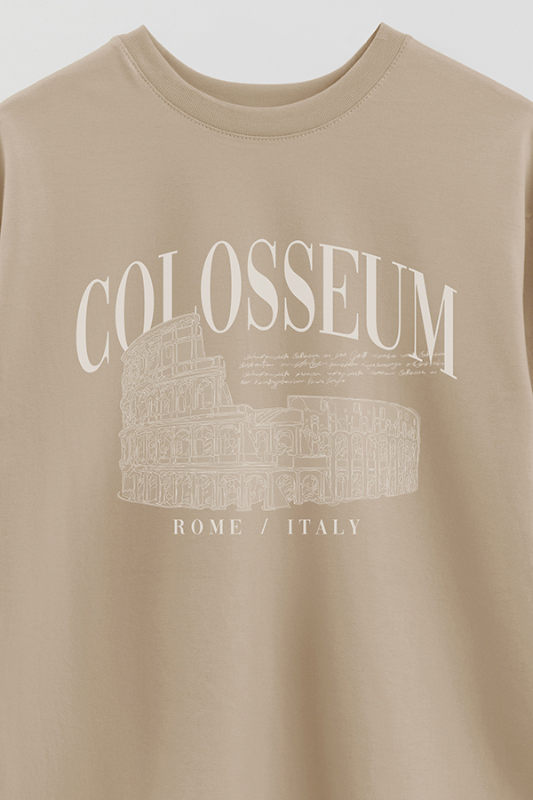 REMERA OVER ESTAMPADA COLOSSEUM