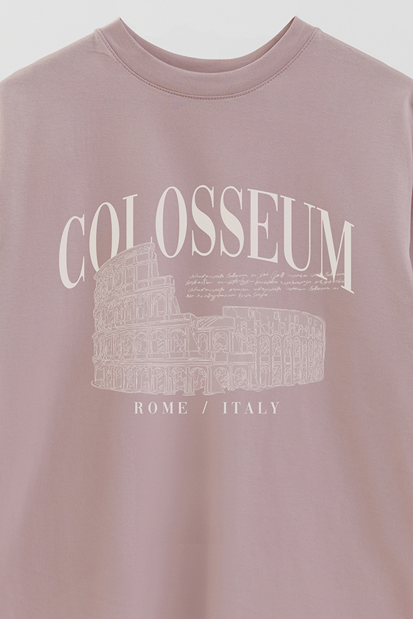 REMERA OVER ESTAMPADA COLOSSEUM