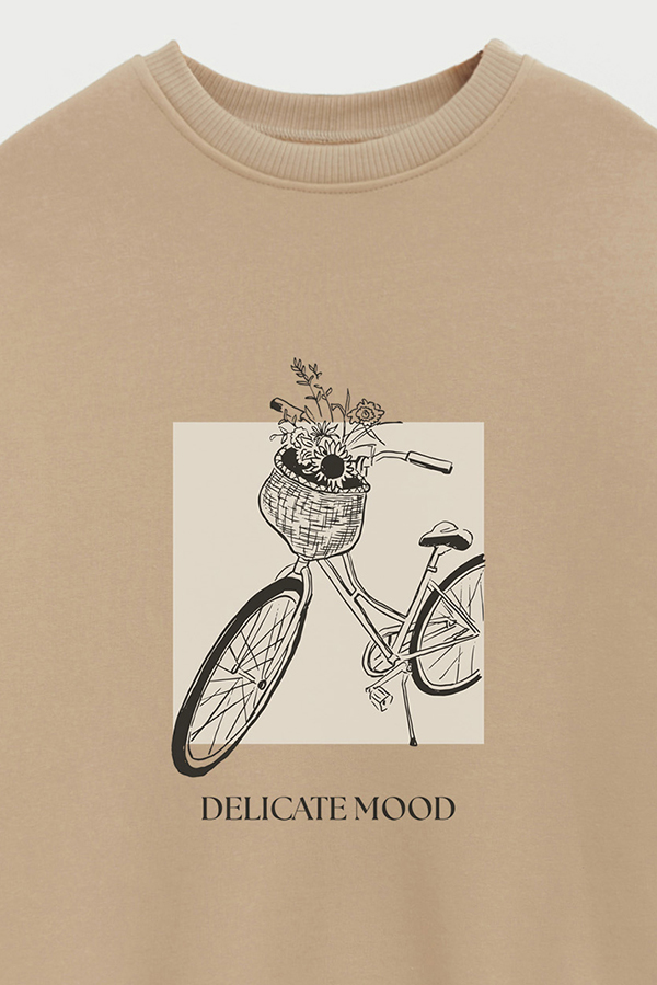 BUZO CREWNECK ESTAMPADO BT DELICATE MOOD