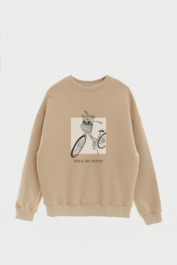 BUZO CREWNECK ESTAMPADO BT DELICATE MOOD