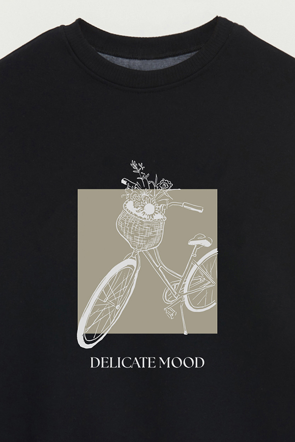 BUZO CREWNECK ESTAMPADO BT DELICATE MOOD