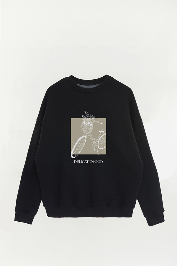 BUZO CREWNECK ESTAMPADO BT DELICATE MOOD