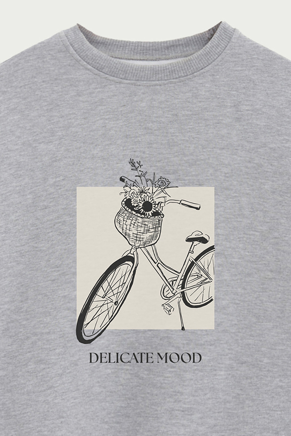 BUZO CREWNECK ESTAMPADO BT DELICATE MOOD
