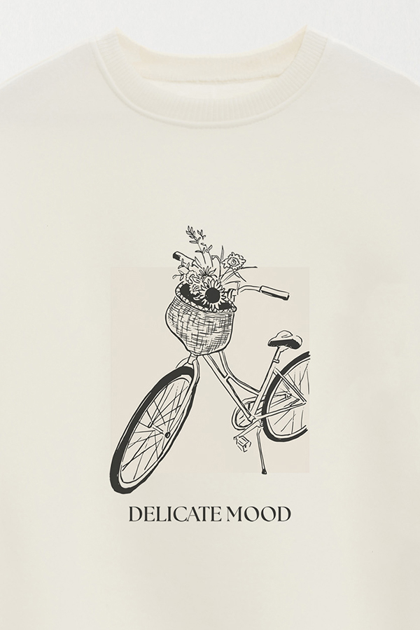 BUZO CREWNECK ESTAMPADO BT DELICATE MOOD