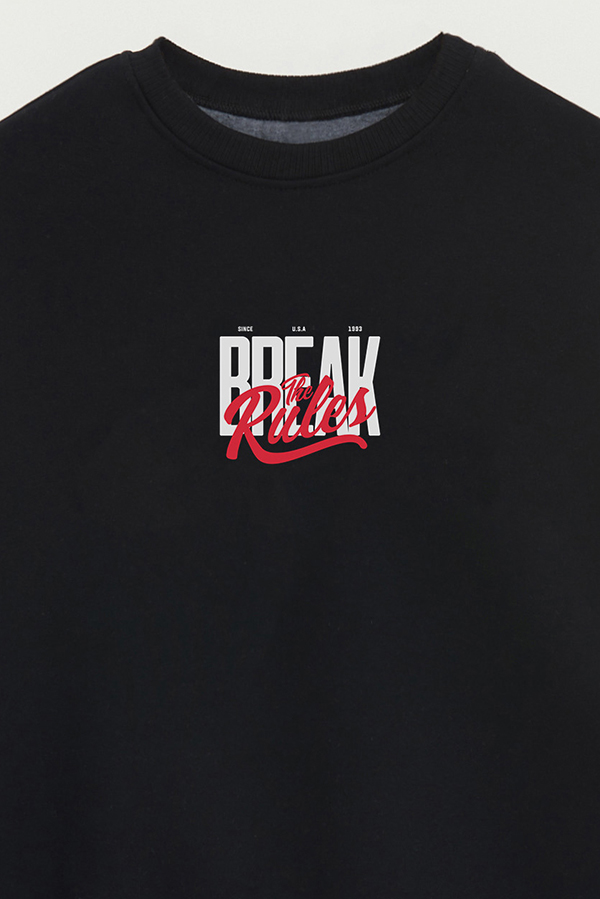 BUZO CREWNECK ESTAMPADO STREET MOOD BTR 4