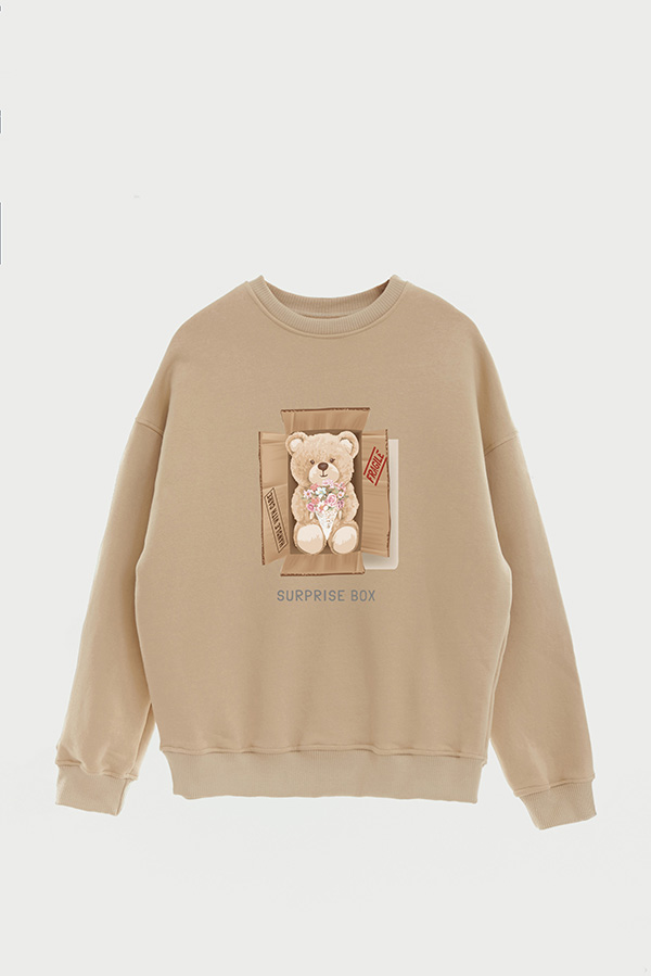 BUZO TEDDY SURPRISE BOX
