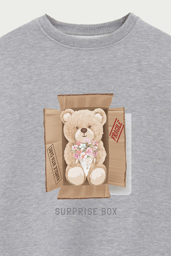 BUZO TEDDY SURPRISE BOX