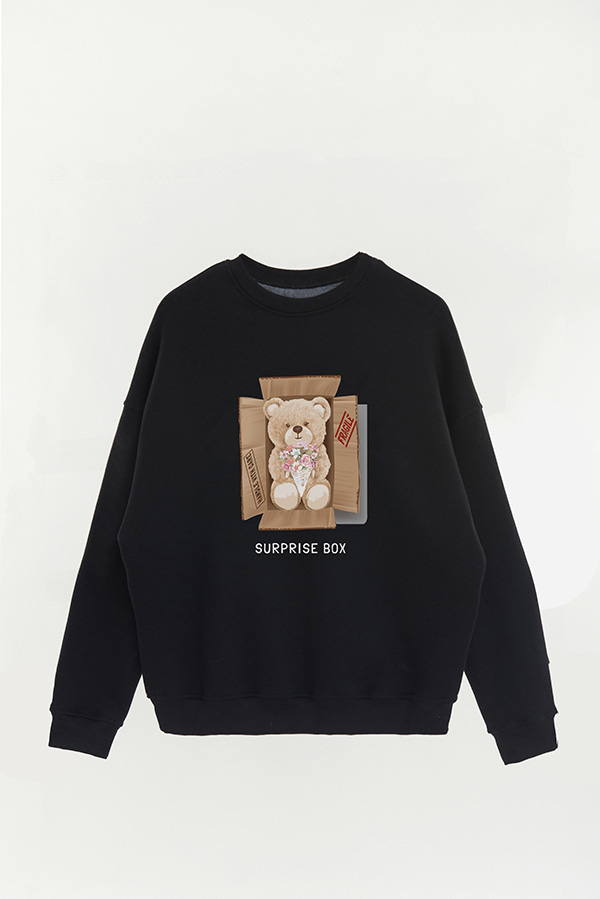BUZO TEDDY SURPRISE BOX