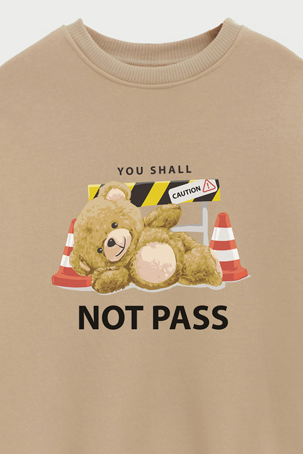 BUZO TEDDY NOT PASS