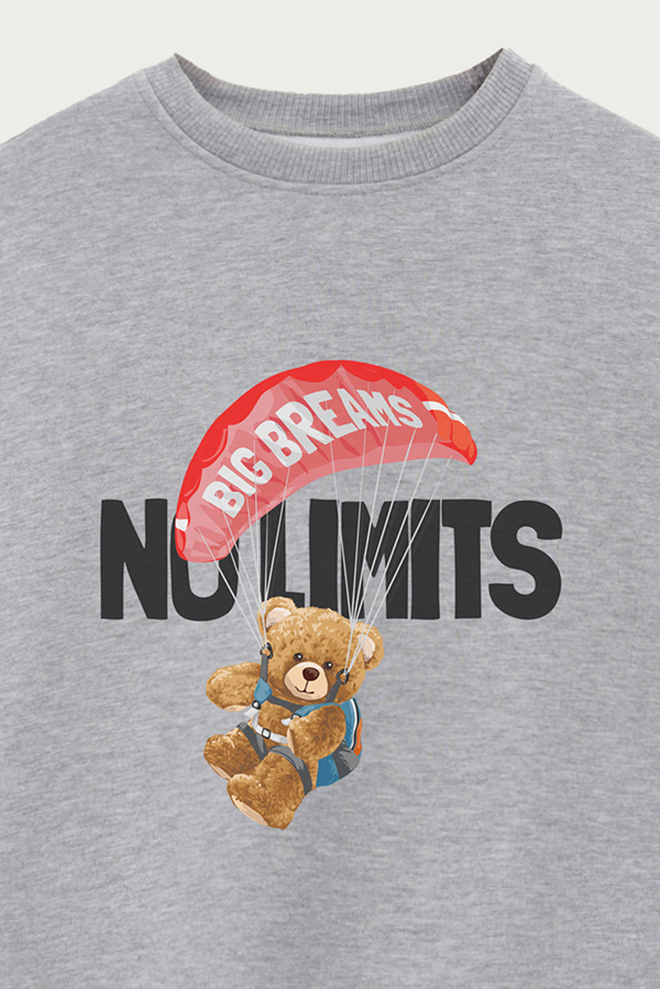 BUZO TEDDY NO LIMITS