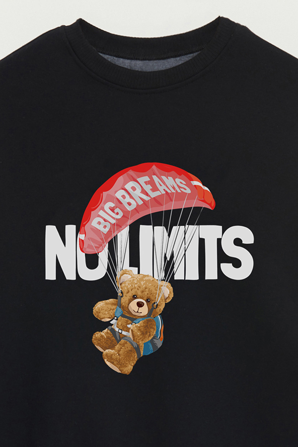 BUZO TEDDY NO LIMITS