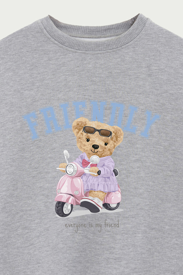 BUZO TEDDY FRIENDLY