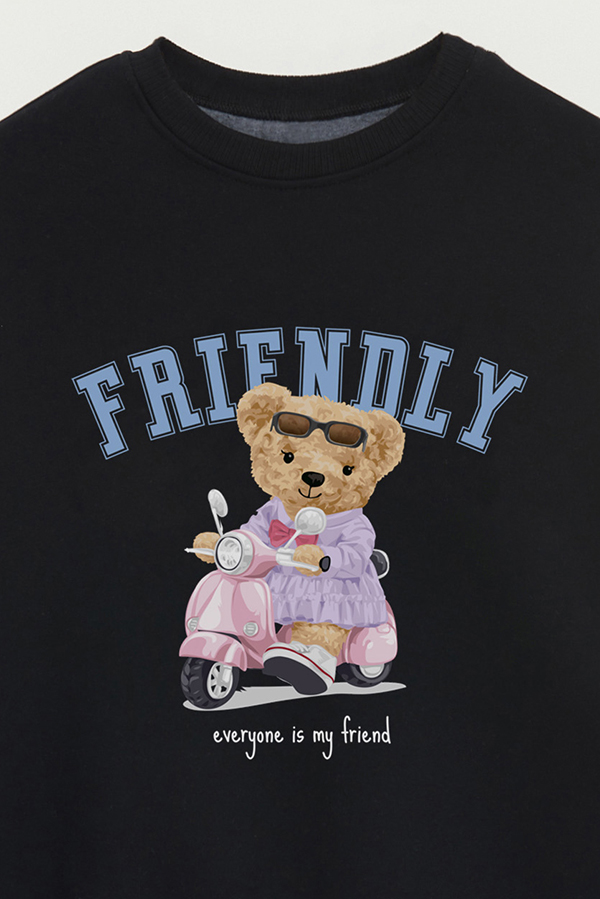 BUZO TEDDY FRIENDLY