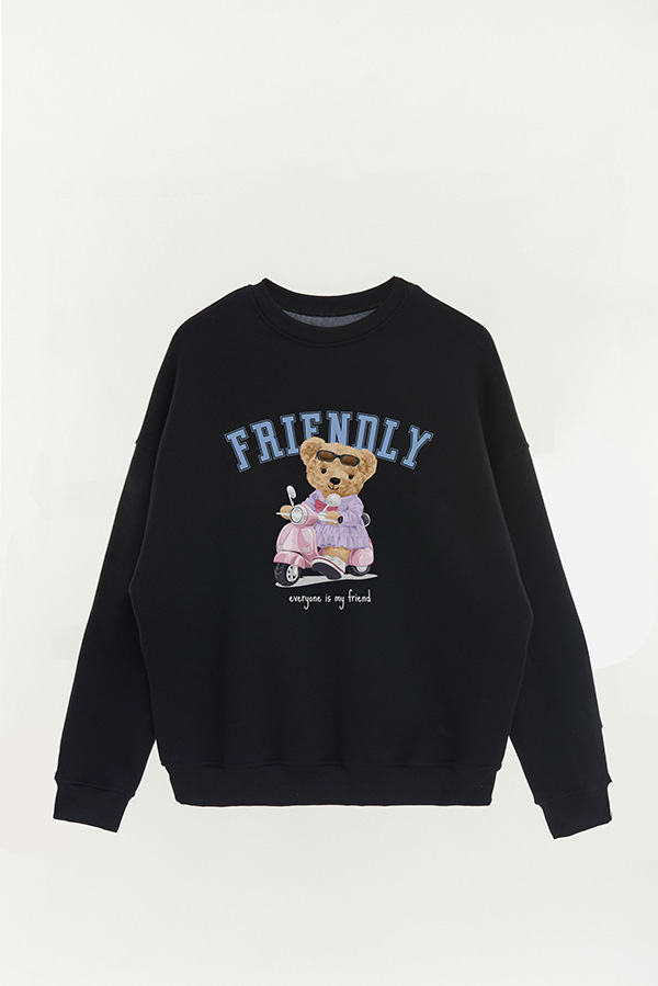 BUZO TEDDY FRIENDLY