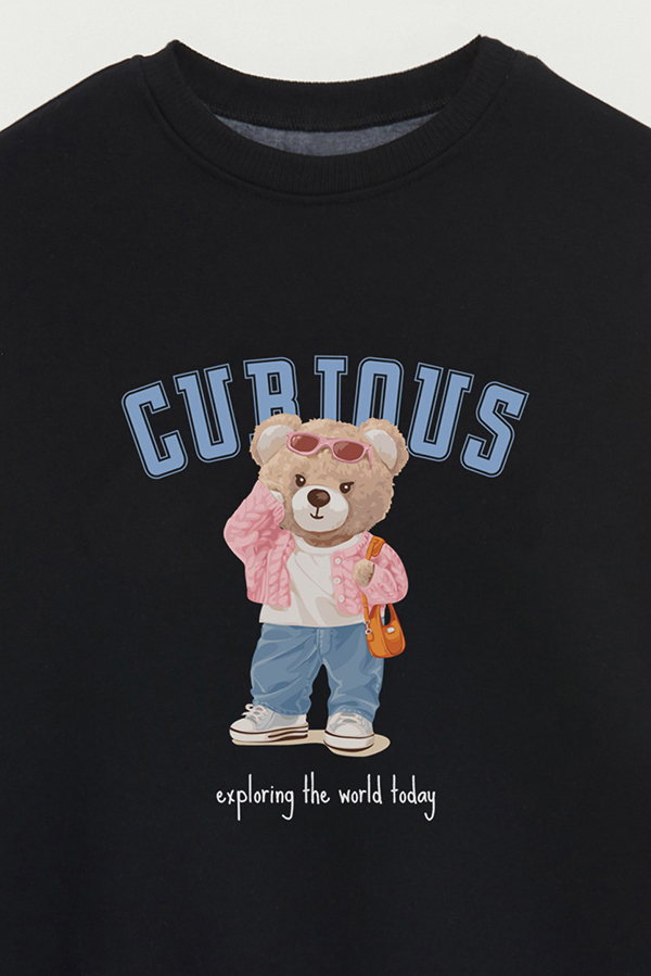 BUZO TEDDY CURIOUS