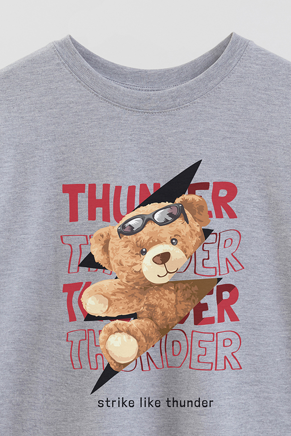 REMERA OVER ESTAMPADA UNISEX TEDDY THUNDER