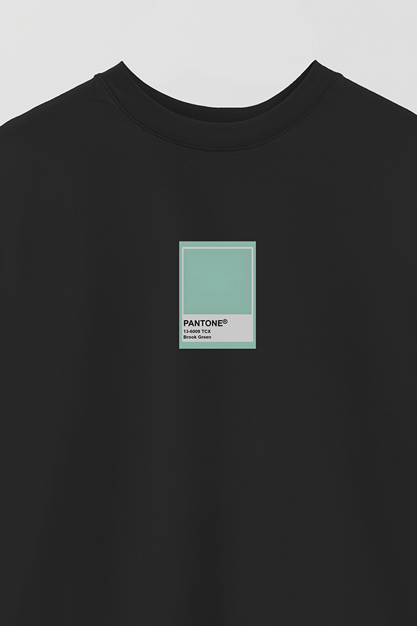 REMERA OVER ESTAMPADA PANTONE BROOK GREEN