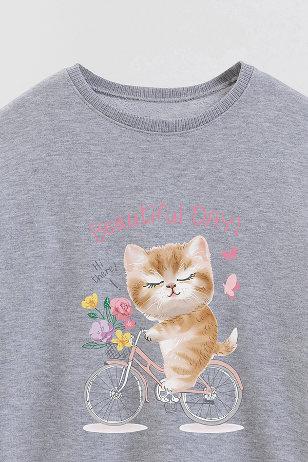 BUZO CREWNECK RUSTICO KITTY DREAMS BEAUTIFUL DAY