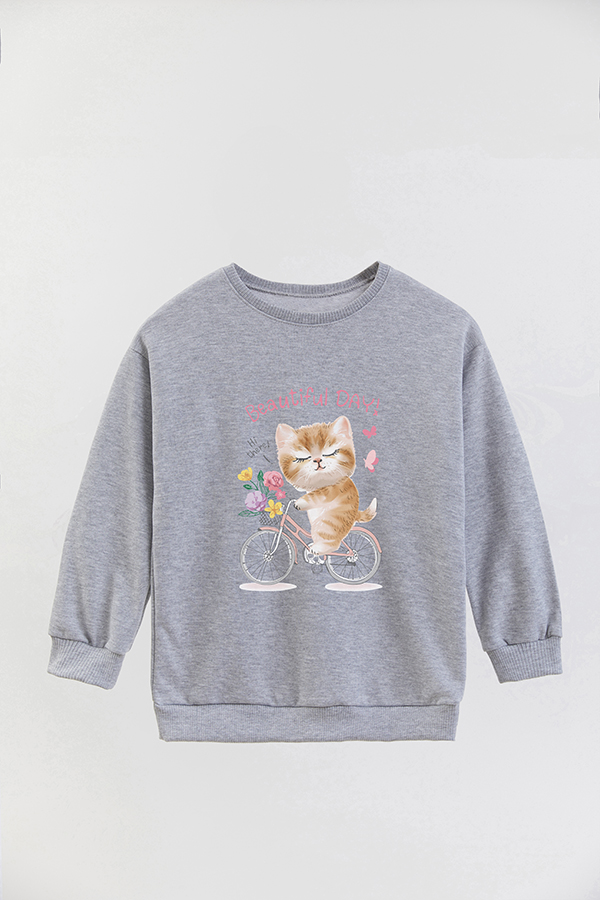 BUZO CREWNECK RUSTICO KITTY DREAMS BEAUTIFUL DAY