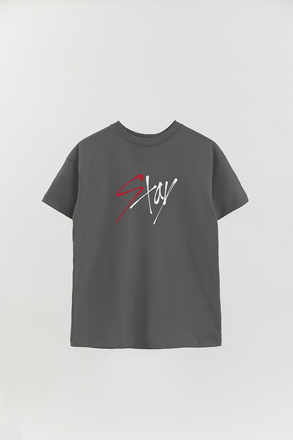REMERA OVER ESTAMPADA SKZ STAY