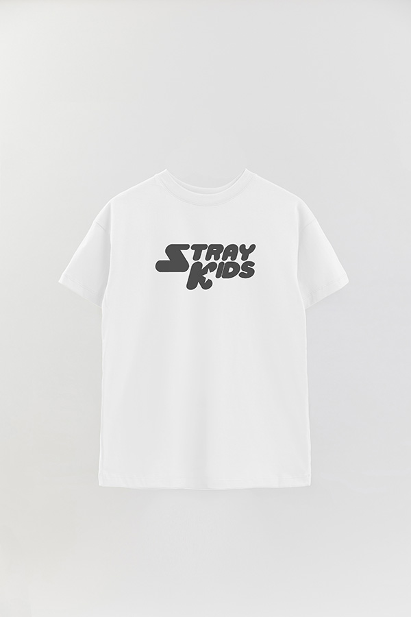 REMERA OVER ESTAMPADA SKZ 4