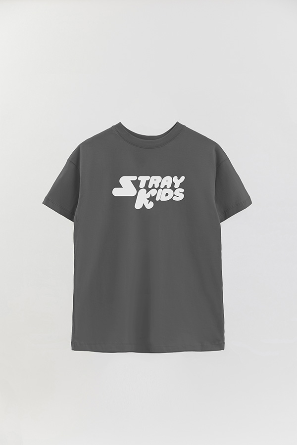 REMERA OVER ESTAMPADA SKZ 4