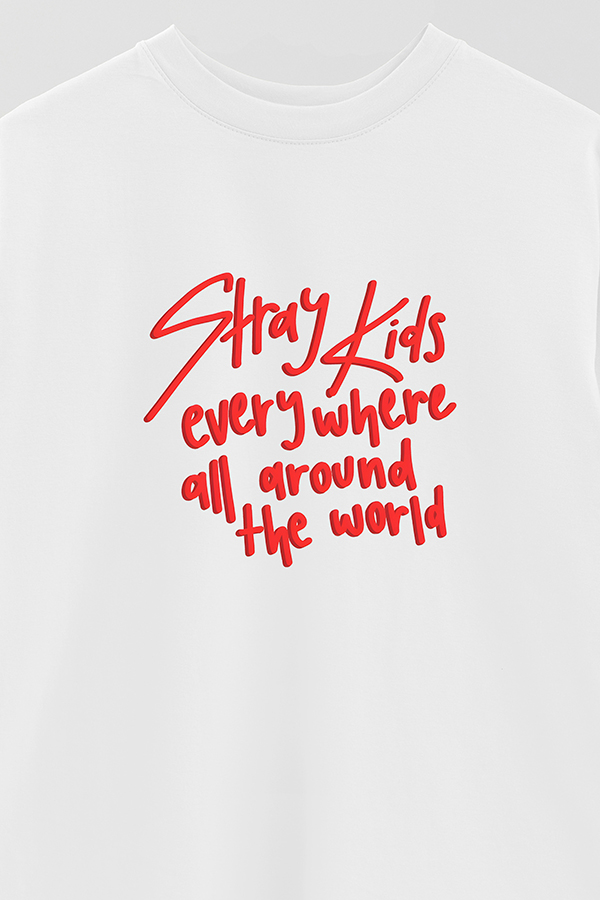 REMERA OVER ESTAMPADA SKZ 5
