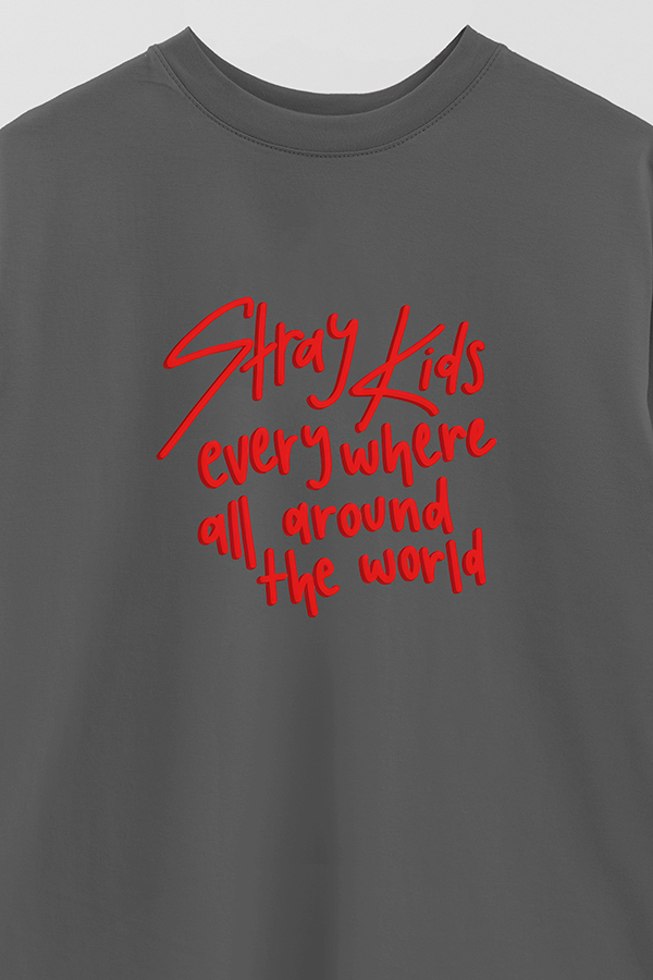 REMERA OVER ESTAMPADA SKZ 5