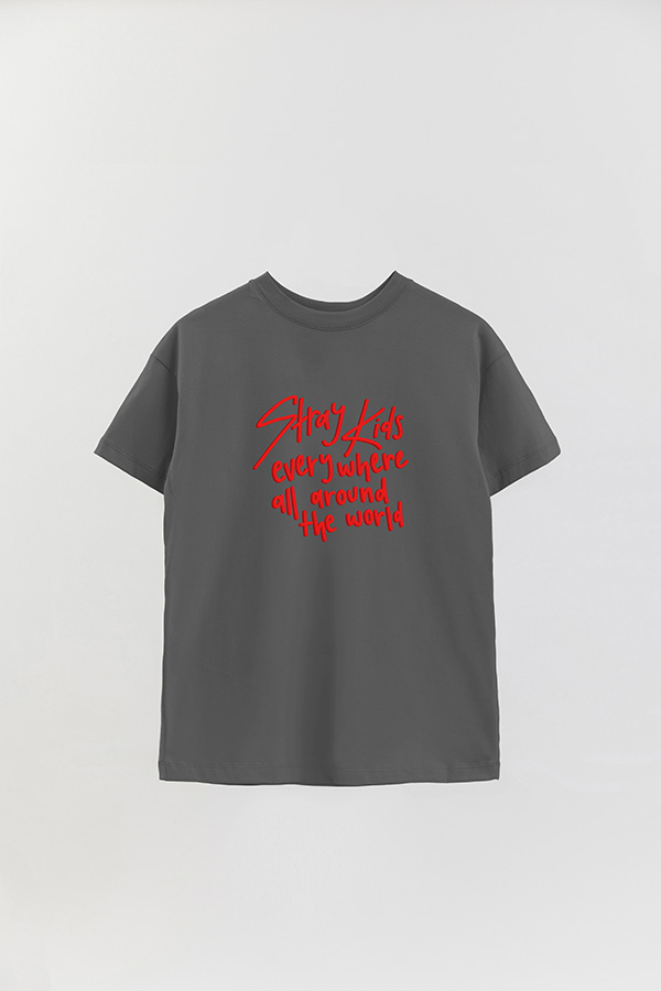 REMERA OVER ESTAMPADA SKZ 5
