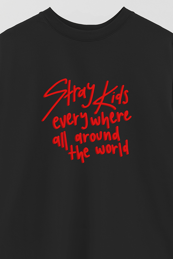 REMERA OVER ESTAMPADA SKZ 5