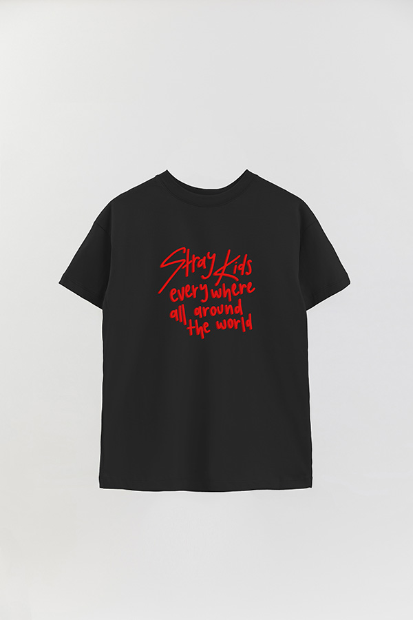 REMERA OVER ESTAMPADA SKZ 5