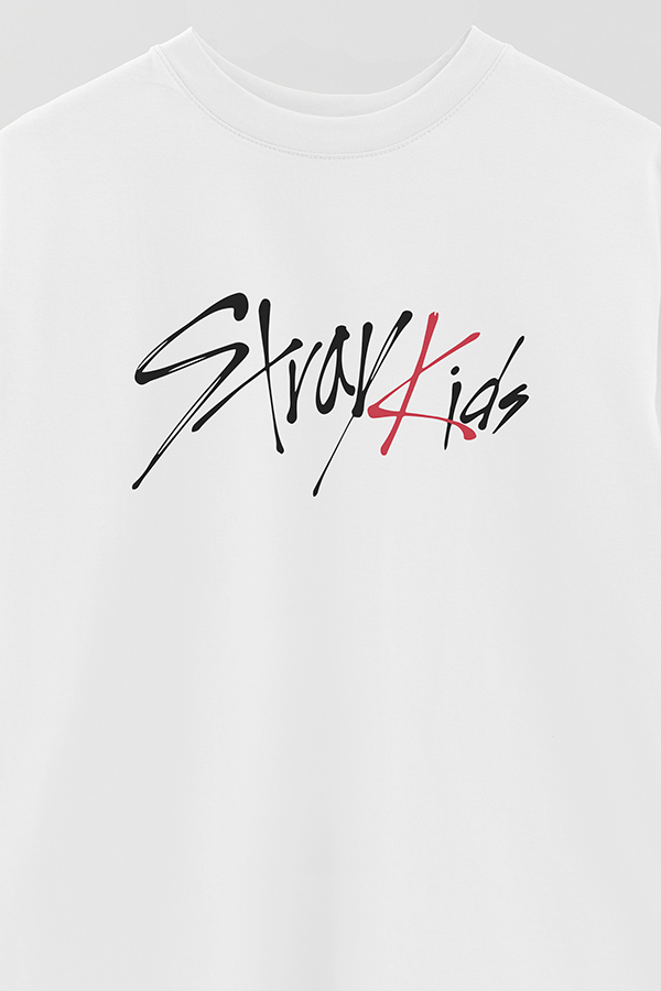 REMERA OVER ESTAMPADA SKZ 11