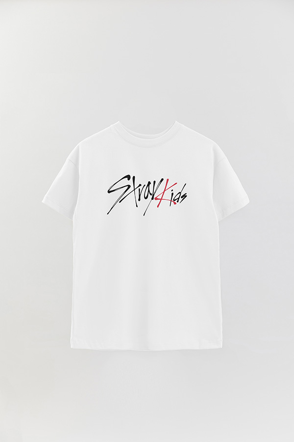 REMERA OVER ESTAMPADA SKZ 11