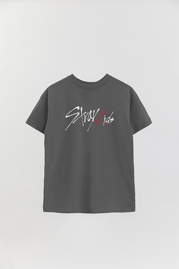 REMERA OVER ESTAMPADA SKZ 11