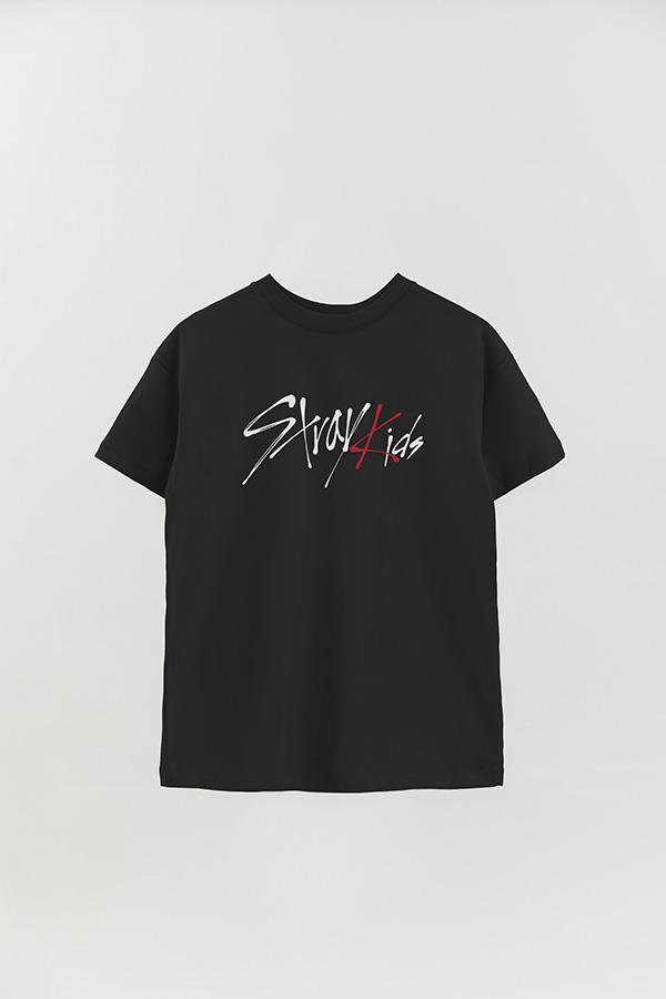REMERA OVER ESTAMPADA SKZ 11