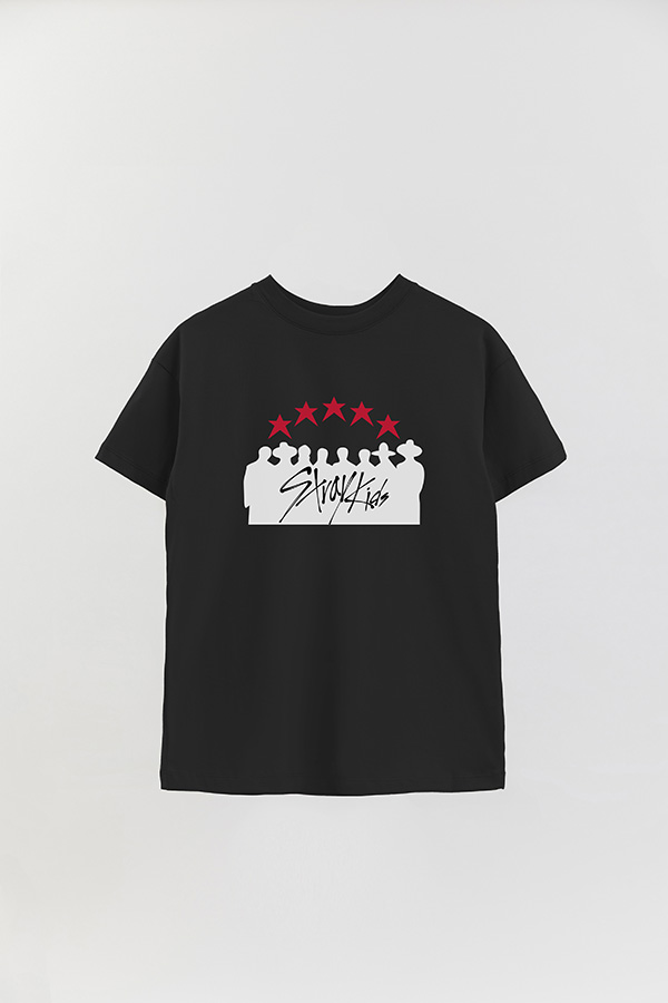 REMERA OVER ESTAMPADA SKZ 12