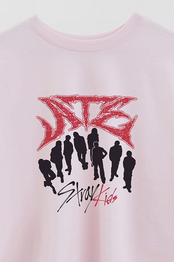 REMERA CROP ESTAMPADA SKZ 13