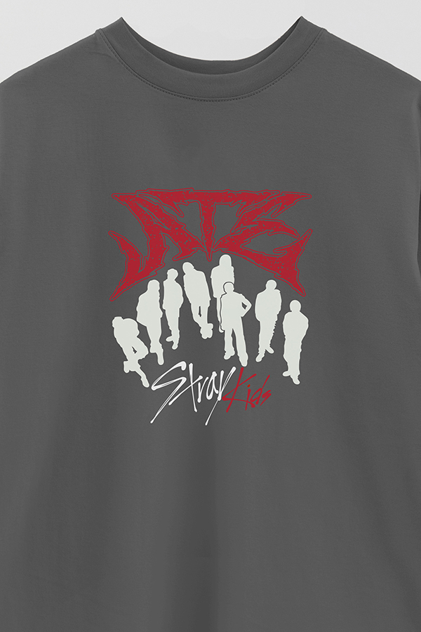 REMERA OVER ESTAMPADA SKZ 13