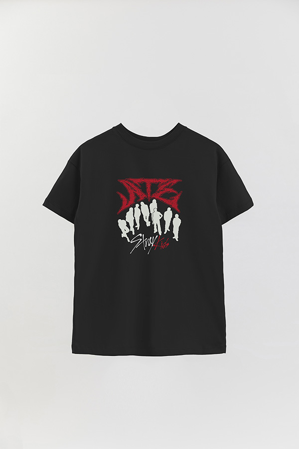 REMERA OVER ESTAMPADA SKZ 13