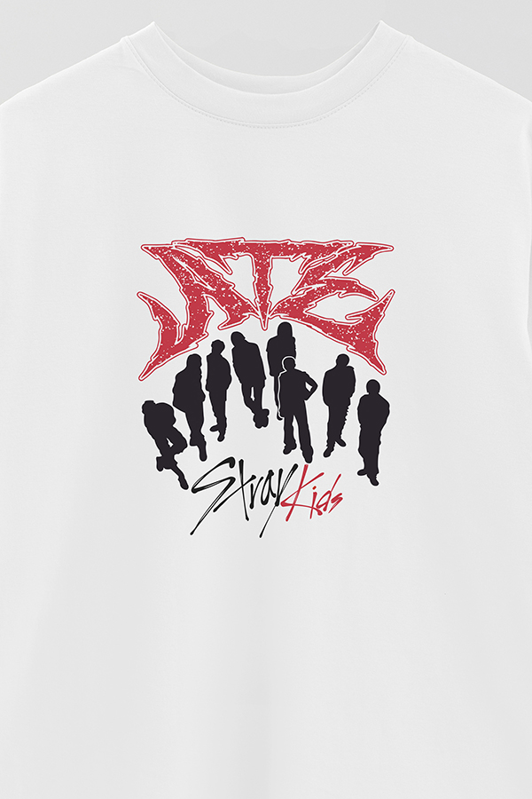 REMERA OVER ESTAMPADA SKZ 13