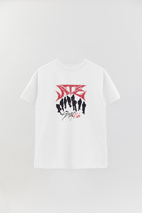 REMERA OVER ESTAMPADA SKZ 13