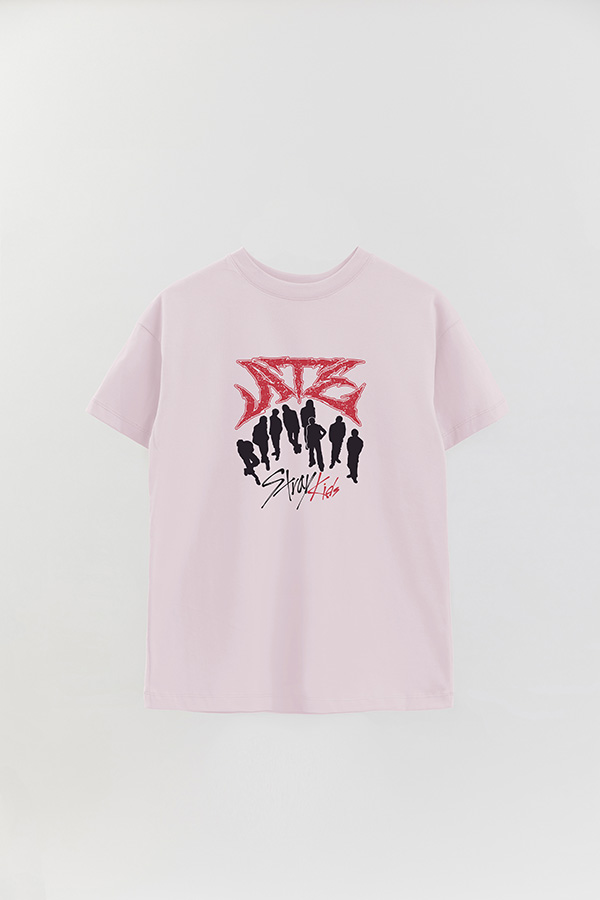 REMERA OVER ESTAMPADA SKZ 13