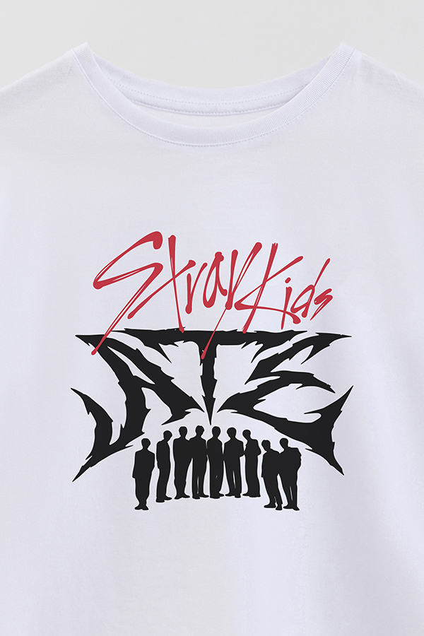 REMERA KID OVERSIZE SKZ 14